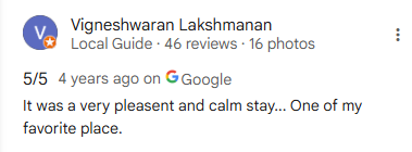 Google Review
